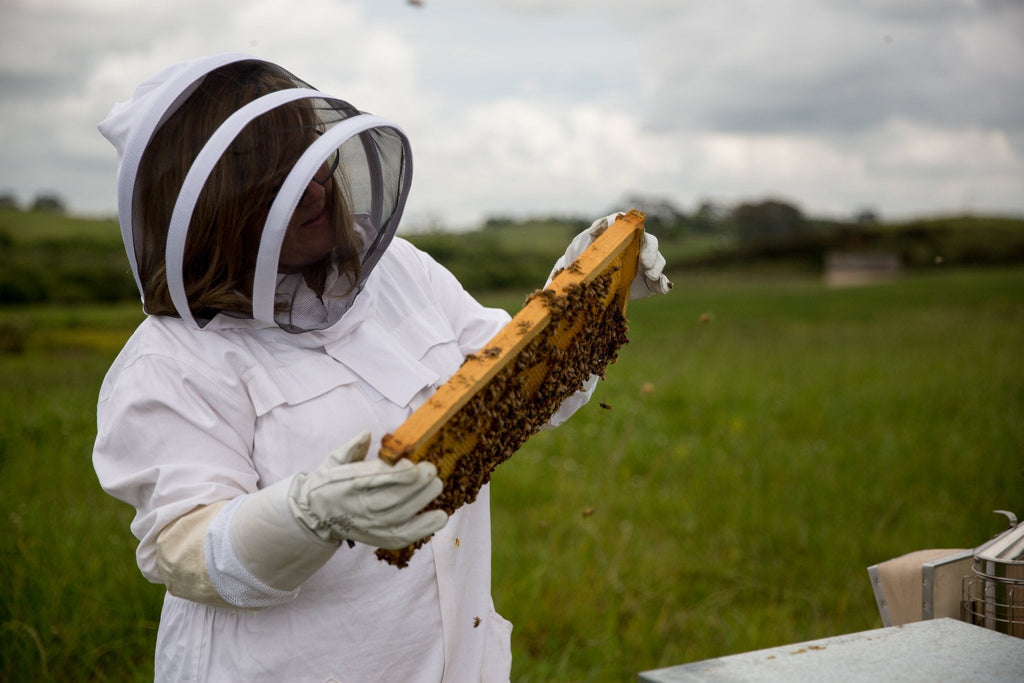 The hidden health benefits of bee venom Manuka Doctor Australia