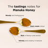MGO 550+ Monofloral Mānuka Honey 250g